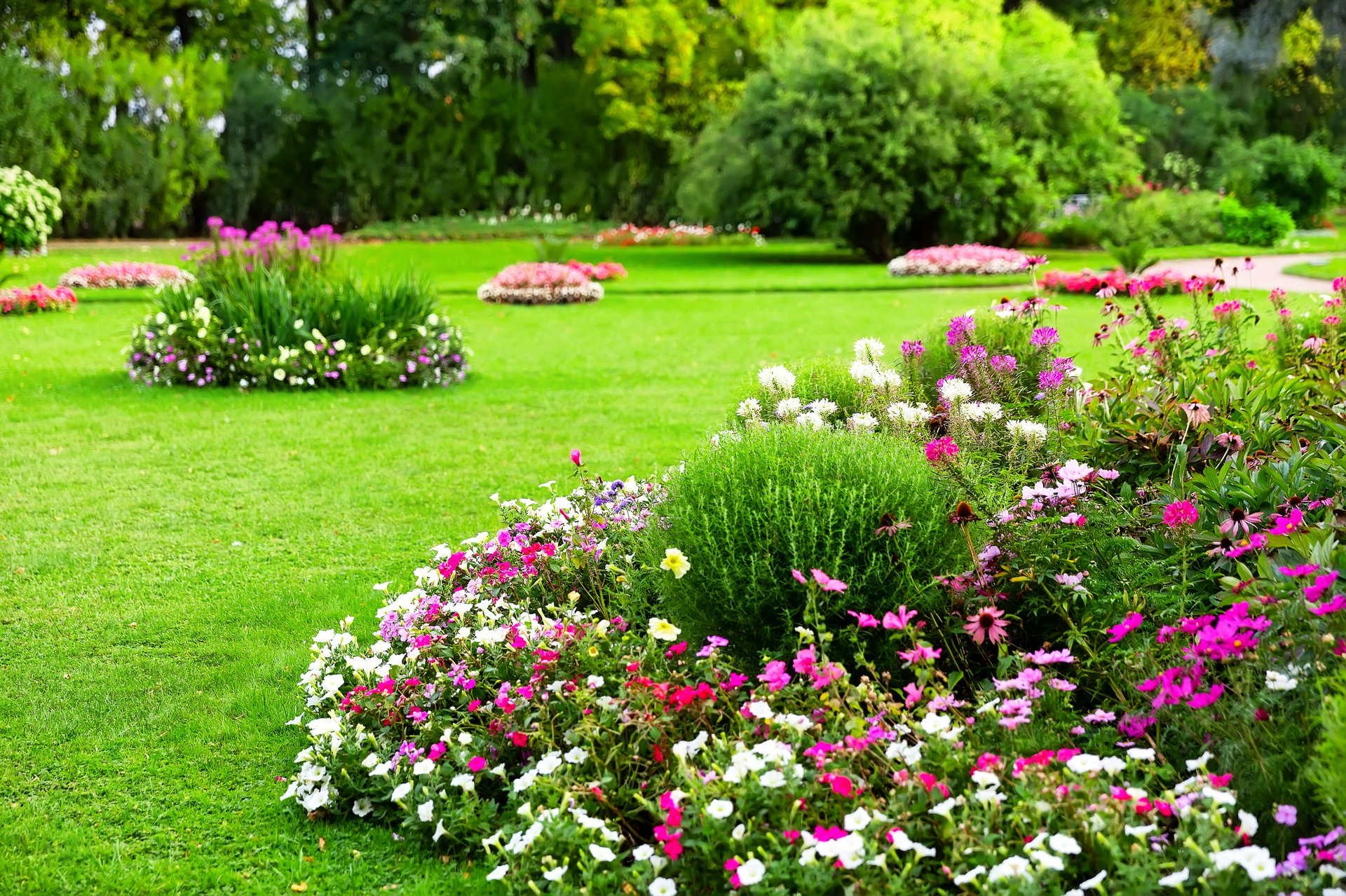 Landscaped garden with vibrant flower beds, blooming plants, and lush green lawn in a sunny park