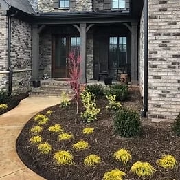 Modern brick home entrance with curved landscaped bed featuring yellow shrubs, red foliage plant, and dark mulch